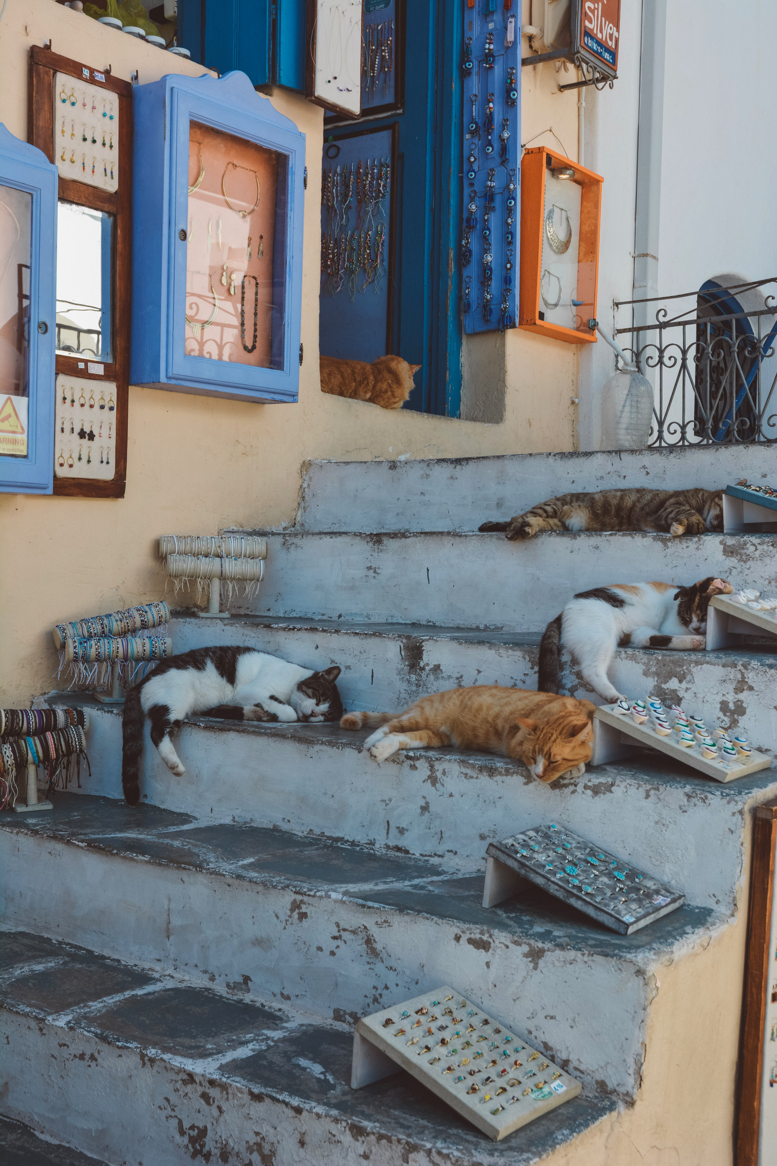 2F4997C6-4292-46CD-8513-573BEF85CB98