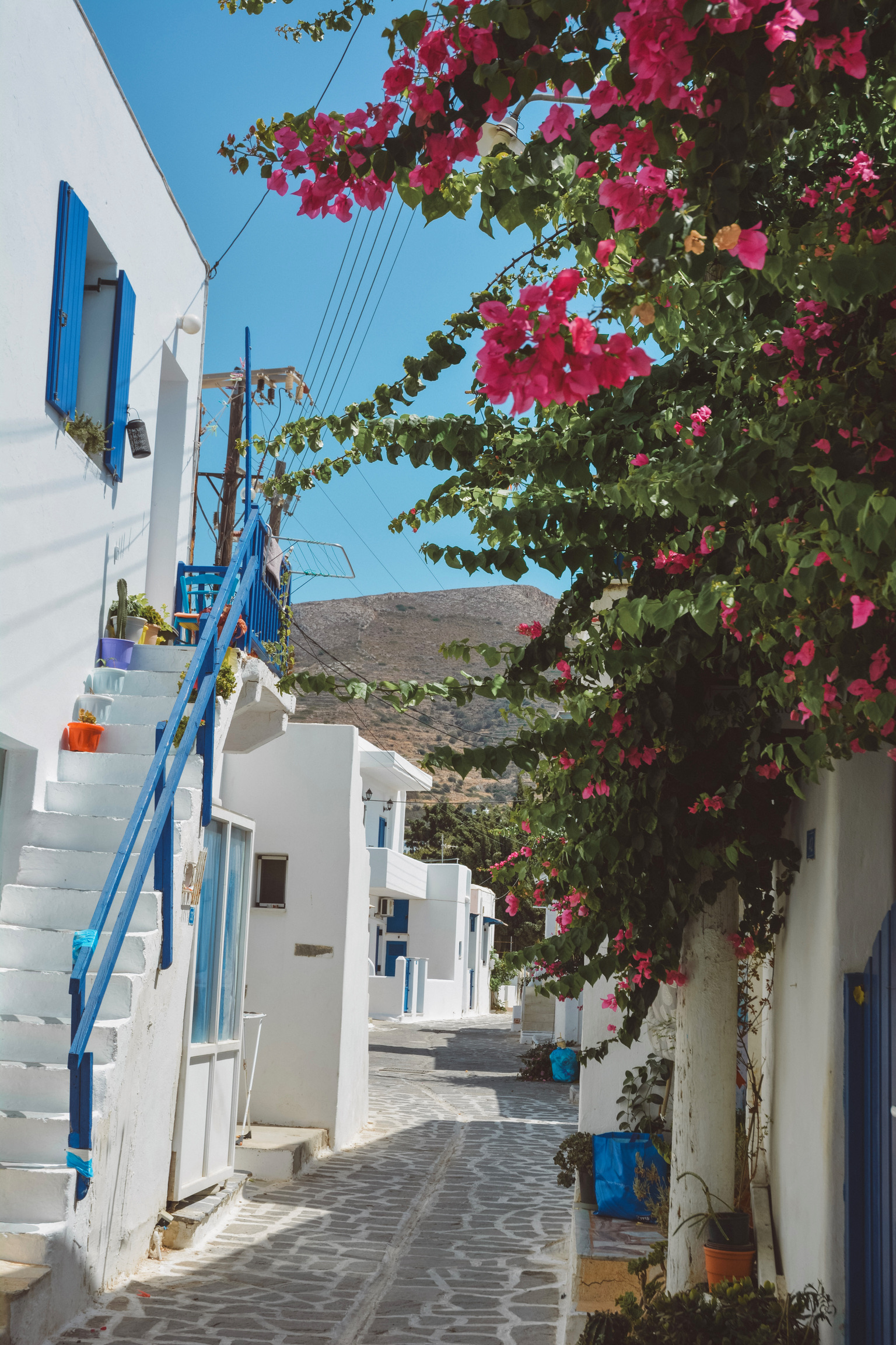 3C416344-DA8C-4604-B5C1-76DDF9E6DA91