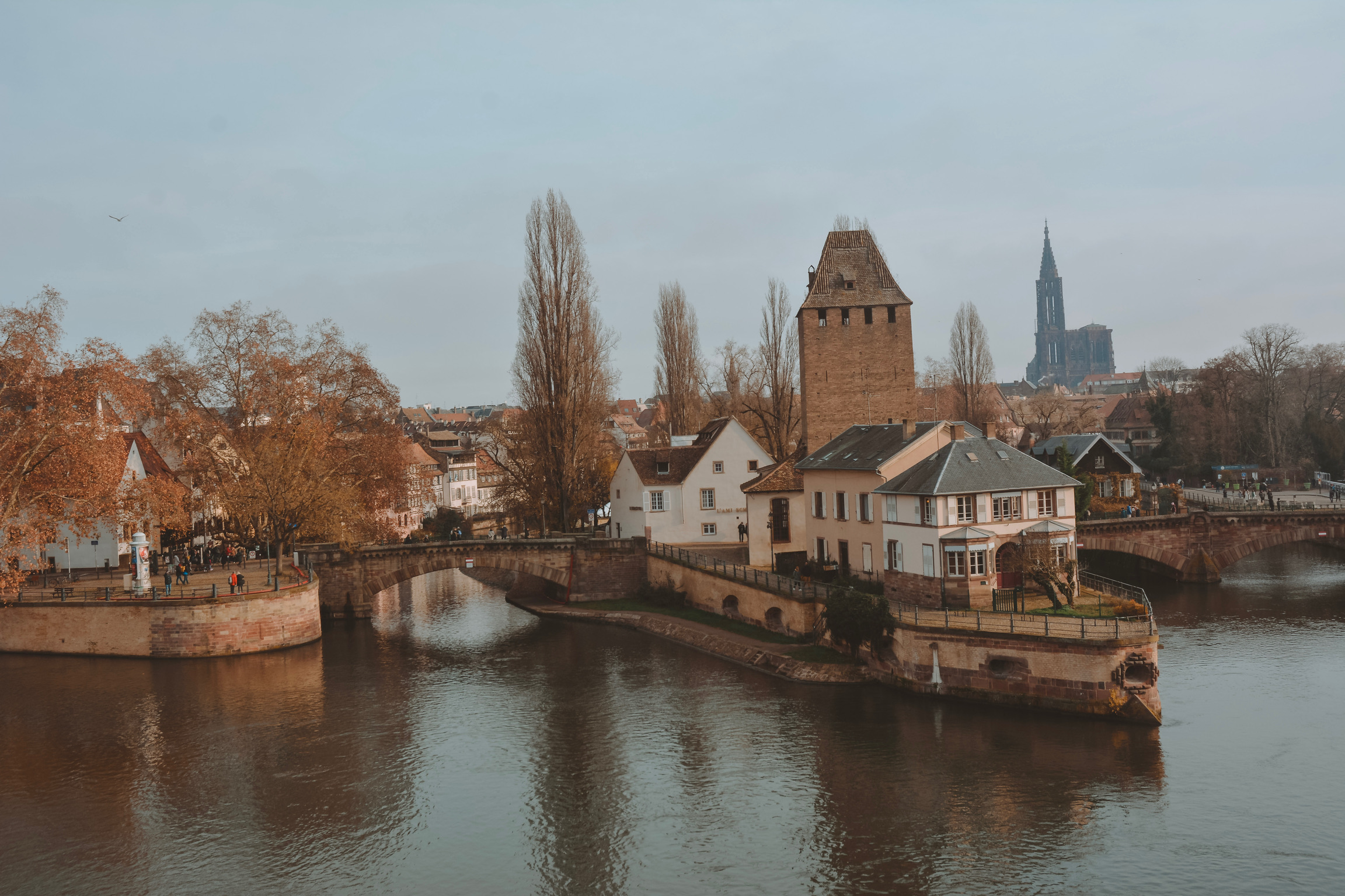 630445B4-710F-4837-9059-F59226C6A083