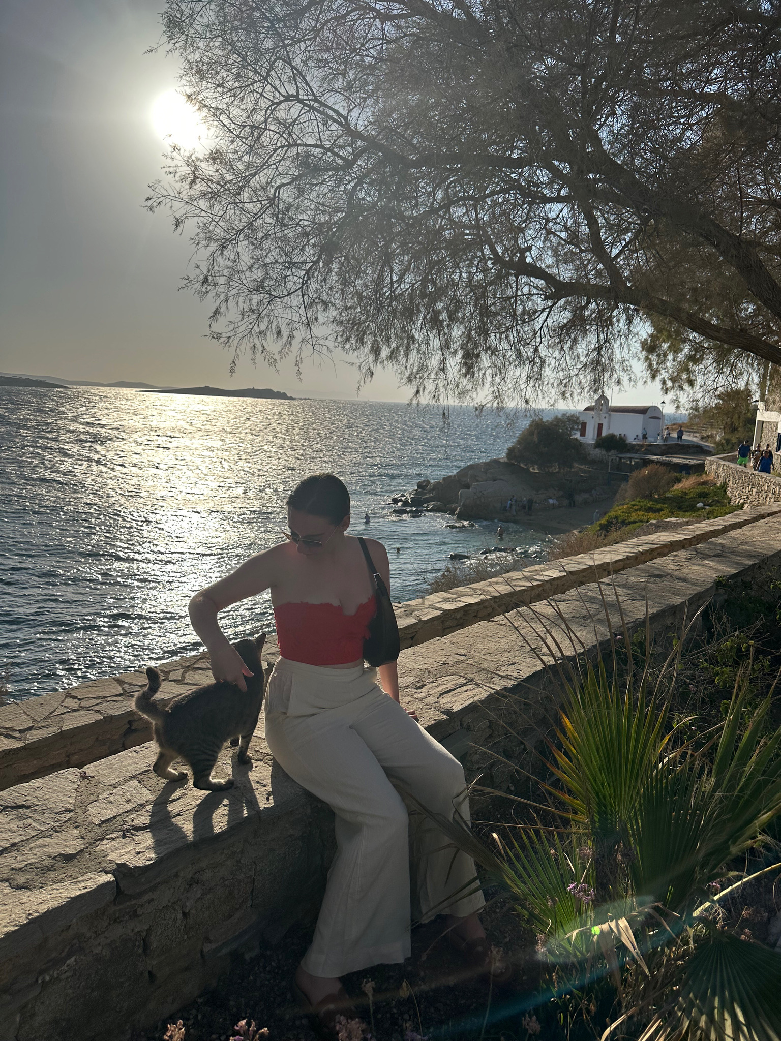 949BB42B-5759-4EFE-862B-F2CB908AEE09