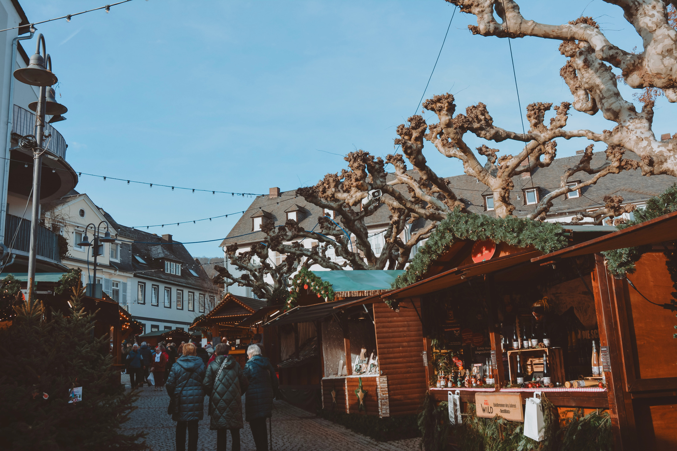 A74CD408-94E1-4C2F-B408-34BB4C730386