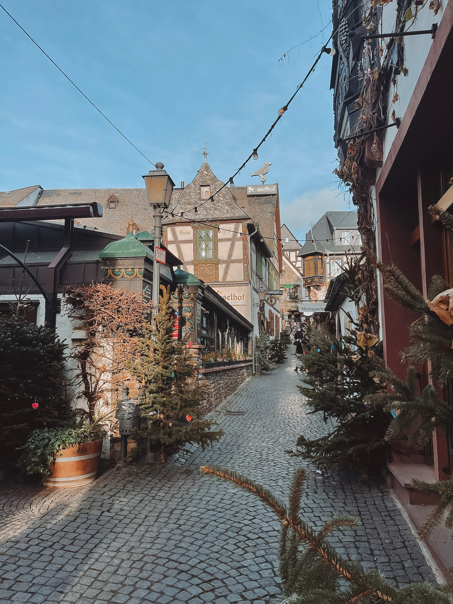 CC1995DB-C55B-4BDA-AC2D-B2D7C34D5888