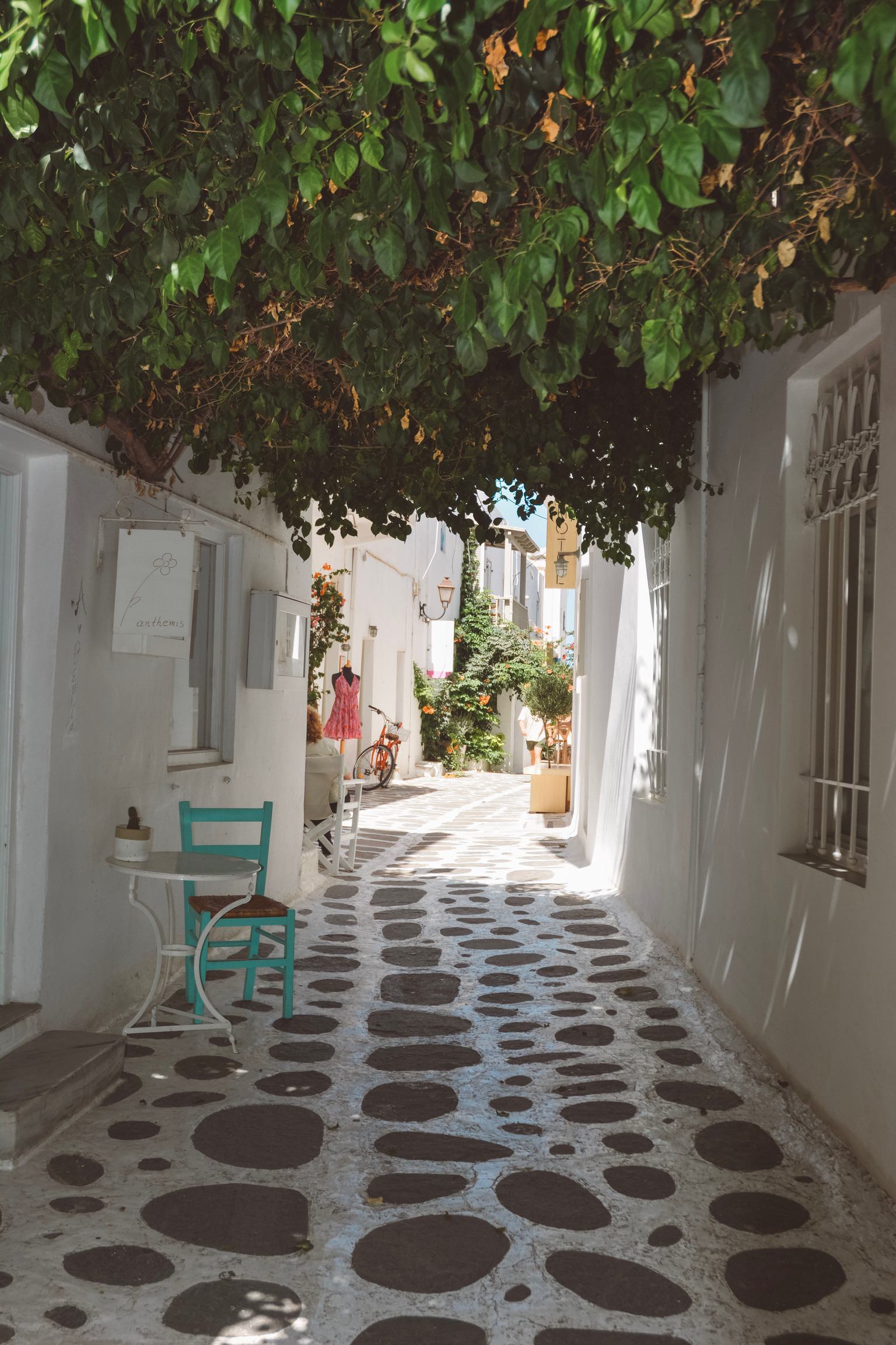 D8F58316-51D8-47A3-A44B-7BB7C8A2C06A